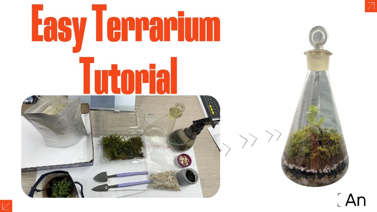 Quick and Easy Terrarium Ideas: A Work Break Project - YouTube