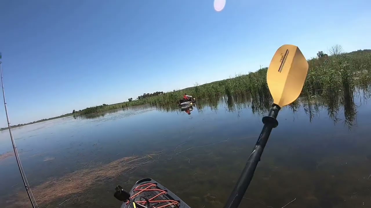 Top Water Bass Fishing with Matt 4 January 2024
