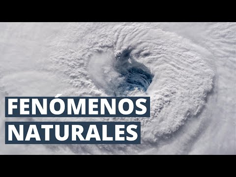 Video: Phenomena - ¿Qué es este fenómeno? Tipos de fenómenos