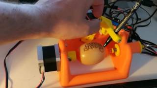 Egg plotter