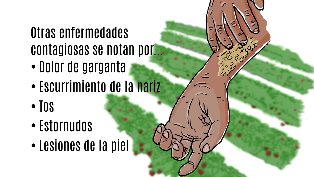 CSC Food Safety CHAPTER B SPANISH YouTube