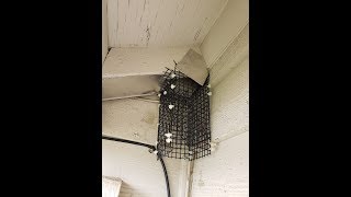 Details How to make a one way Squirrel trap Guide
