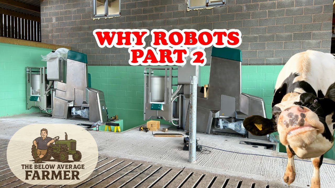 WHY ROBOTS PART 2