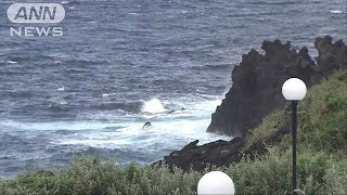 風がまとわり付くようで強くなり・・・台風近づく八丈島(16/08/28)