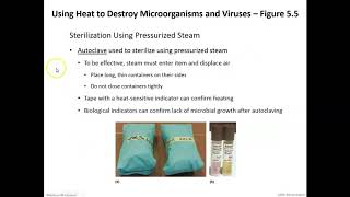 Chapter 5 part 4 Nester Microbiology Sandburg