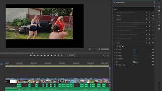 Basic Training for Adobe Premiere Elements 2027, Part 5 of 8