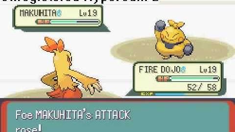 Pokemon Emerald Walkthrough Part 14