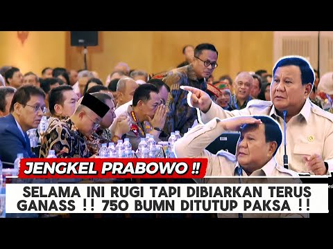 JENGKEL Prabowo, Rugi Terus Jadi Beban Negara Selama ini, 750 BUMN Ditutup Paksa ! Gak Ada Untungnya