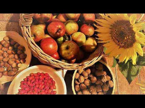 Video: Podzimní bylinky: popis. Tráva v podzimním lese