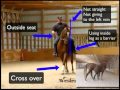 How to fix a Rearing Horse