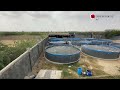 How Biofloc Farming Maximizes Fish Production in Less Space