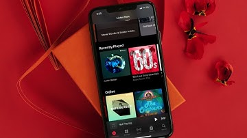 How to Disable Music Videos in Apple Music on iPhone and iPad