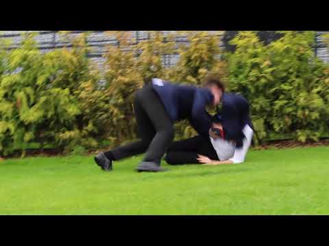 the-best-film-in-the-world