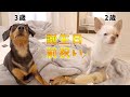 そろそろのんいのの誕生日です