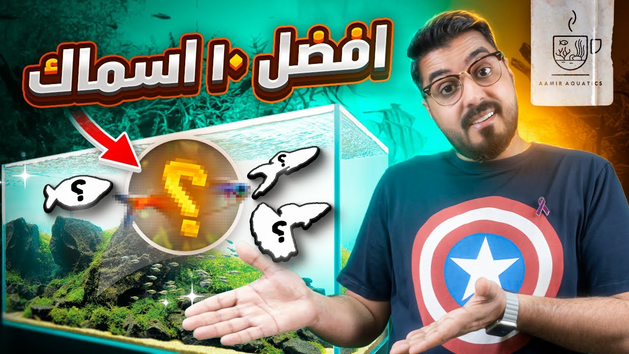 اختيارات مميزة و غريبة : افضل ١٠ اسماك الزينة للمبتدئين