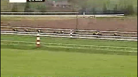 Coolmore Lexington Stakes