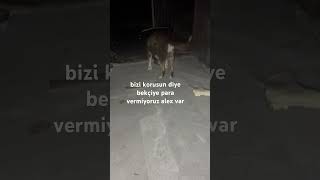 Hadi Sıkıysa Hırsız Girsin