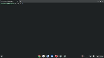 How to download Steam on a Chromebook using Linux