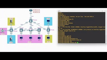 #02 Guide complet de configuration Inter-VLAN, VTP, port Trunk, VLANs et DHCP | Tutoriel Réseau