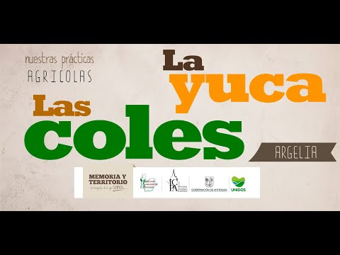 Nuestras prácticas