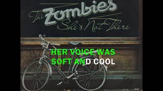 Video thumbnail of "The Zombies - She's Not There (Retroman's karaoke version)"