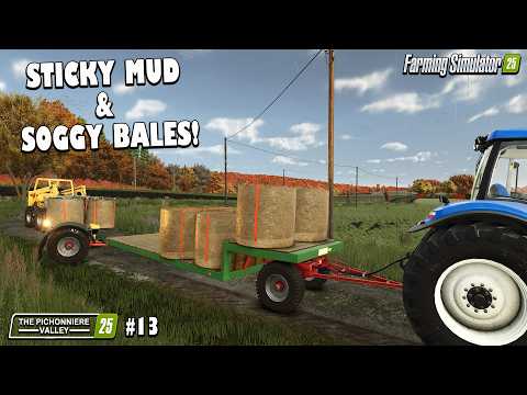 Pichonnière Valley #13 SHEEP & GOAT WELFARE?! FARMING SIMULATOR 25 GAMEPLAY