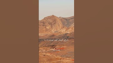 تدبروا الأيات❤️ #قران_كريم #اكسبلور #اكتب_شي_تؤجر_عليه #سورة_الغاشية #القارئ #ماهر_المعيقلي