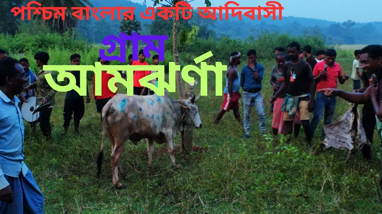 A journey through a simple, peaceful livelihood of a Tribal village