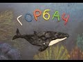 Горбач.  Megaptera novaeangliae.  Пластилиновый познавательный мультфильм.  Plasticine Animation.