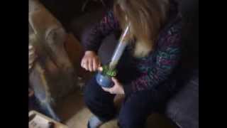 cannabis girls 101