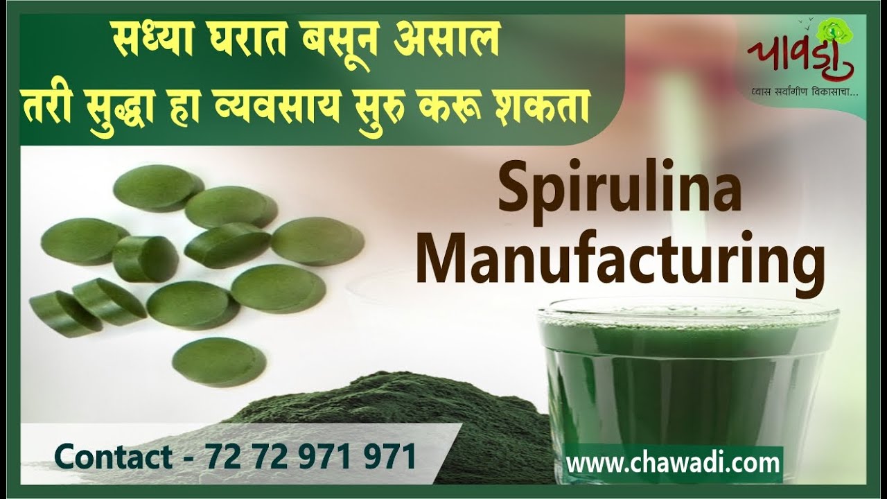 spirulina business plan pdf in hindi