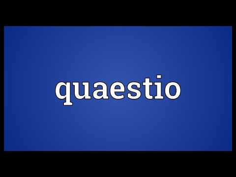 Quaestio Meaning