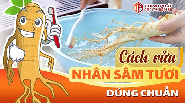 hướng dẫn cách rửa nhân sâm tươi Hàn Quốc đúng chuẩn trước khi sử dụng