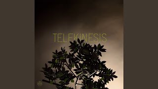 Video thumbnail of "Telekinesis - Game Of Pricks"