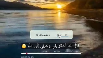 تلاوة خاشعة من سورة يوسف 🌸بصوت القارئ أحمد حاج نجيب❣🌺🌼🌸