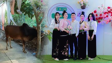 ĐÁM CƯỚI DÂN TỘC THÁI TÂY BẮC MỔ 2 CON BÒ NHẤT BẢN LUÔN “ CHÚ RỂ BẮC GIANG CÔ DÂU SƠN LA 