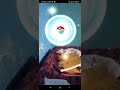 Pokemon Venepide Caught