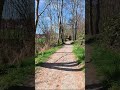 Quick Escape into Nature 🌲 | POV Cycling in Erfurt #bikeride #shorts #erfurt #germany #short #nature