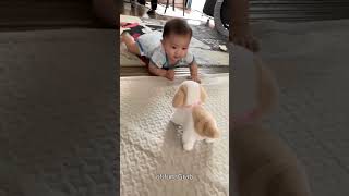 Interactive Plush Puppy Toy That Walks, Barks & Flips Yt Link In Channel