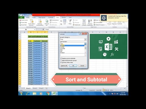 Sort and Subtotal | subtotal function in excel | database management ...