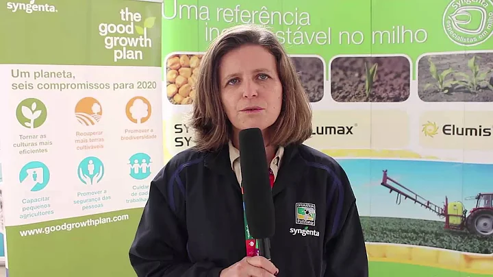 Monica Teixeira 24H Agricultura Syngenta Interview