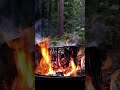 🔥Campfire No Loop. Fireplace with Cracking Sounds for Sleep, Study