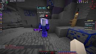 Giving poor people silverfish pets in Hypixel Skyblock