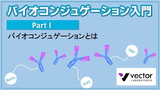 【Part1】バイオコンジュゲーションとは　動画