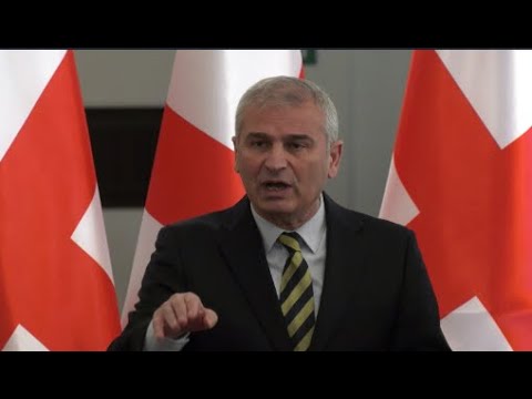 ნაცმოძრაობის ტყუილზე აგებულმა პოლიტიკამ  ნაცმორაობა კი არა, მთლიანად  ოპოზიცია დააზიანა- ქადაგიშვილი