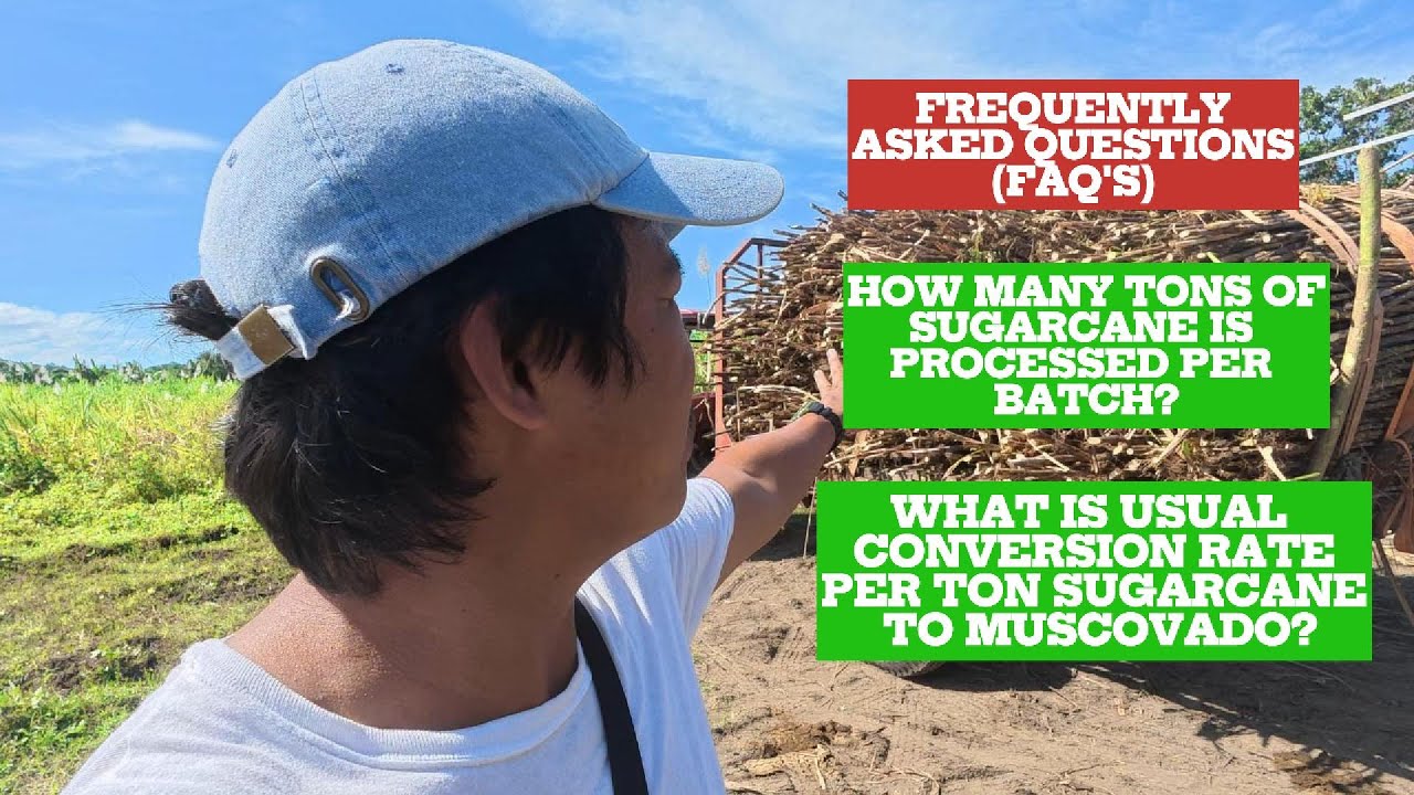 How Much Sugarcane Makes 1 Ton of Muscovado? | Traditional Antique ...