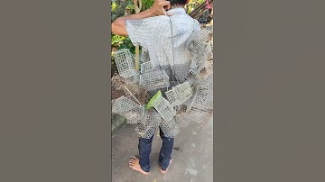 caffe góc đường.xem chú đặc chuộc ở kdc chợ xã phi thông TP rgia kg