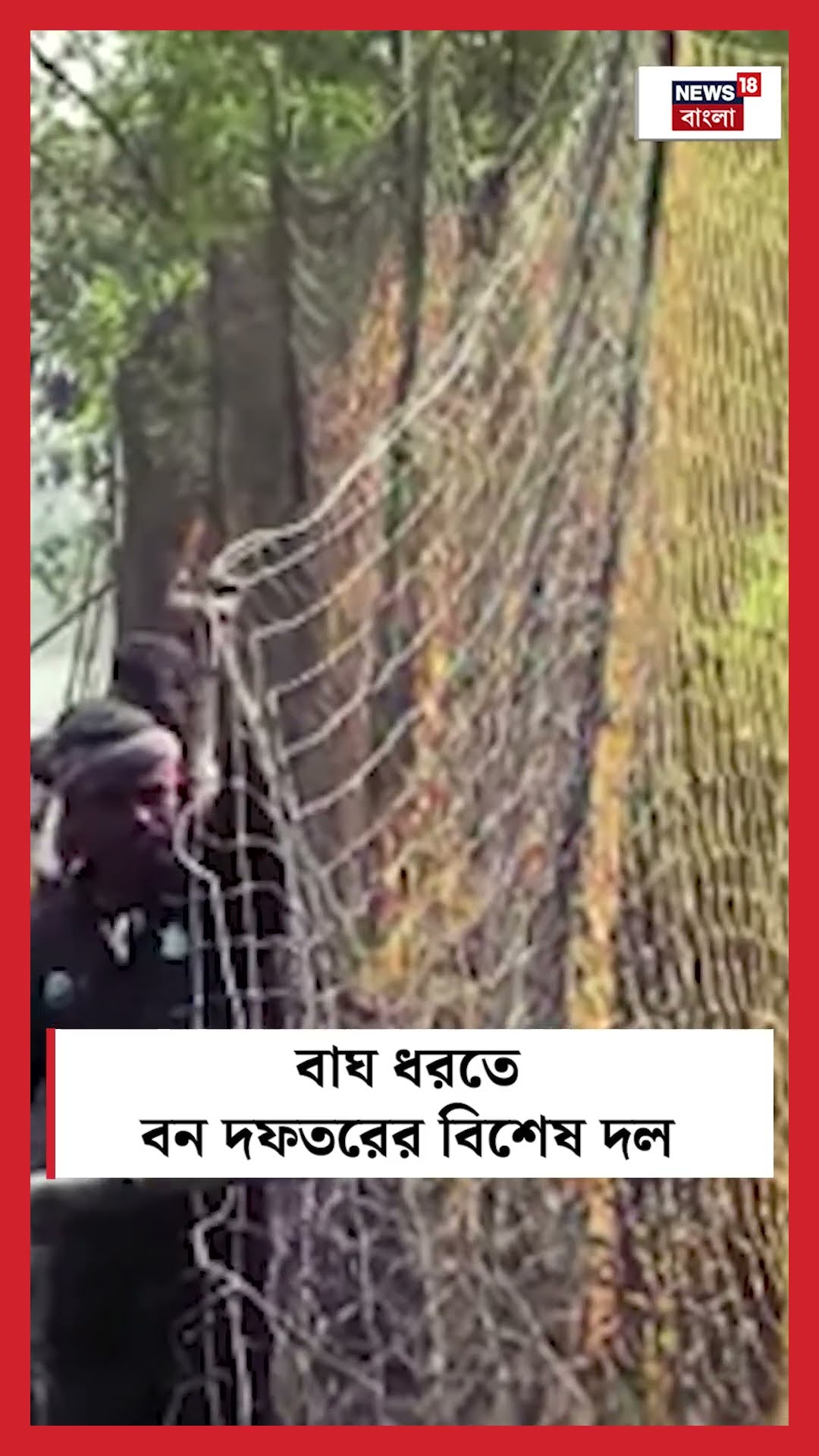 Kultali তে বাঘ ধরতে বন দফতরের বিশেষ দল #shorts