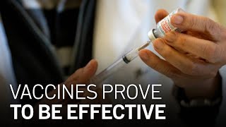 COVID-19 Vaccines Proving to Be Effective