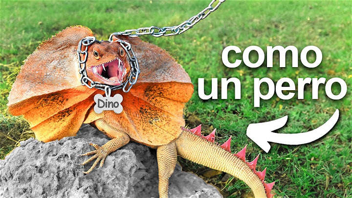 Conseguí un Dinosaurio de Mascota (casi)